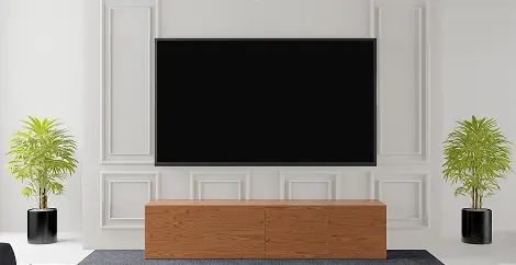 TV Mounting & Home Theater